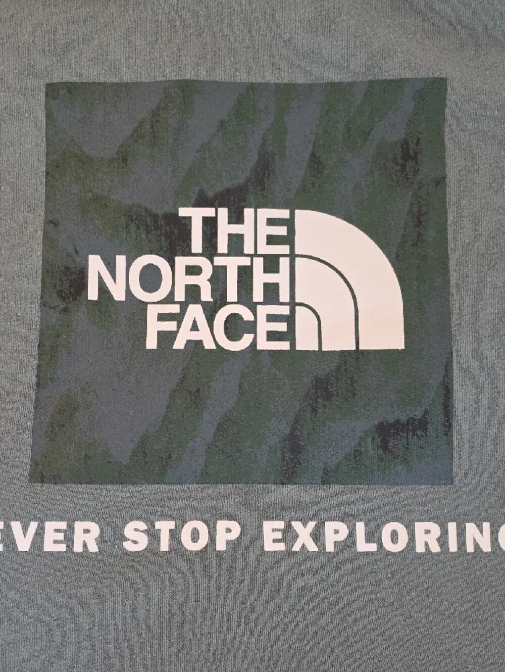 The North Face Men's Hooded Sweatshirt in Slate Green